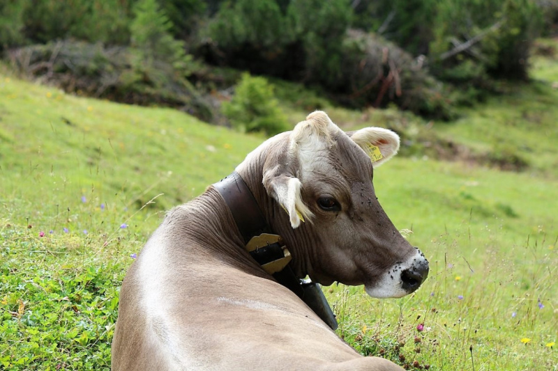 Marienbergfest auf der „4-Hauben-Alm“