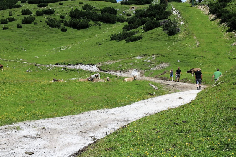 Marienbergjoch – Hochwasserschäden werden beseitigt