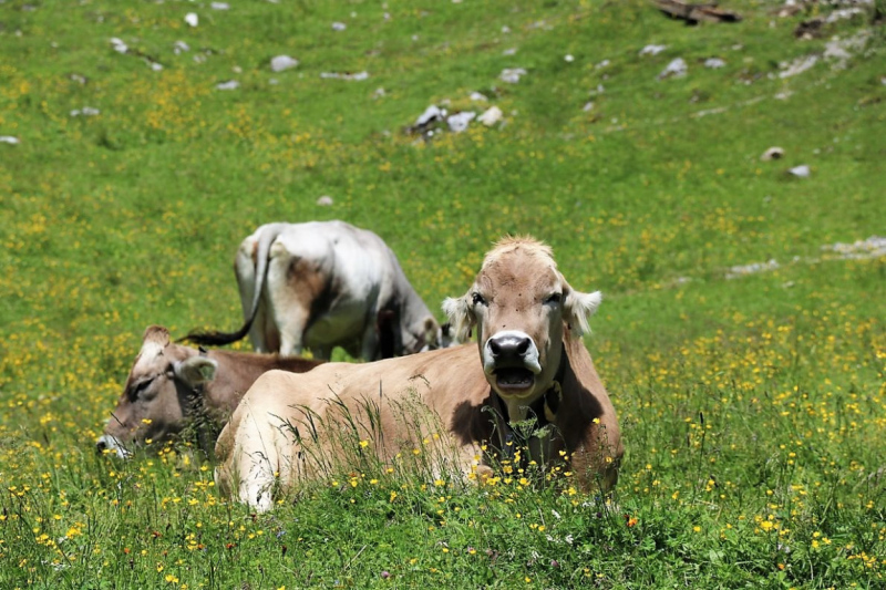 Marienbergjoch – Hochwasserschäden werden beseitigt
