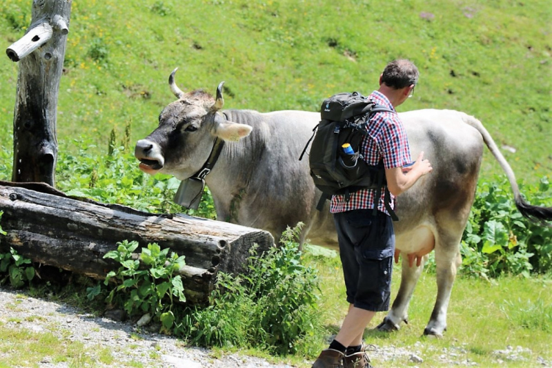 Marienbergjoch – Hochwasserschäden werden beseitigt