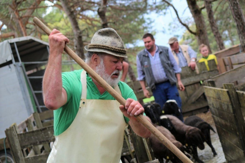 Brecher Franz (Foto: Knut Kuckel)
