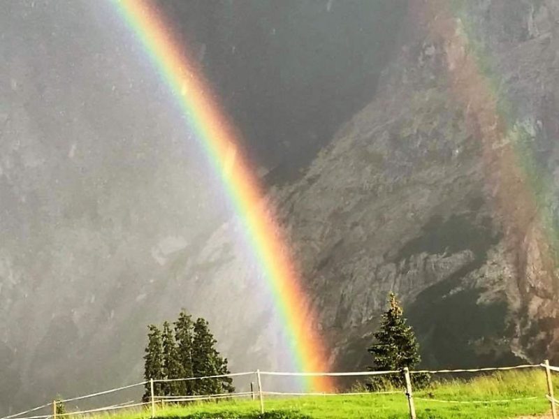 Nachricht von der Feldernalm – „Wir melken, buttern, machen Graukas“