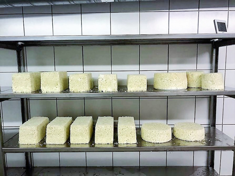 Nachricht von der Feldernalm – „Wir melken, buttern, machen Graukas“