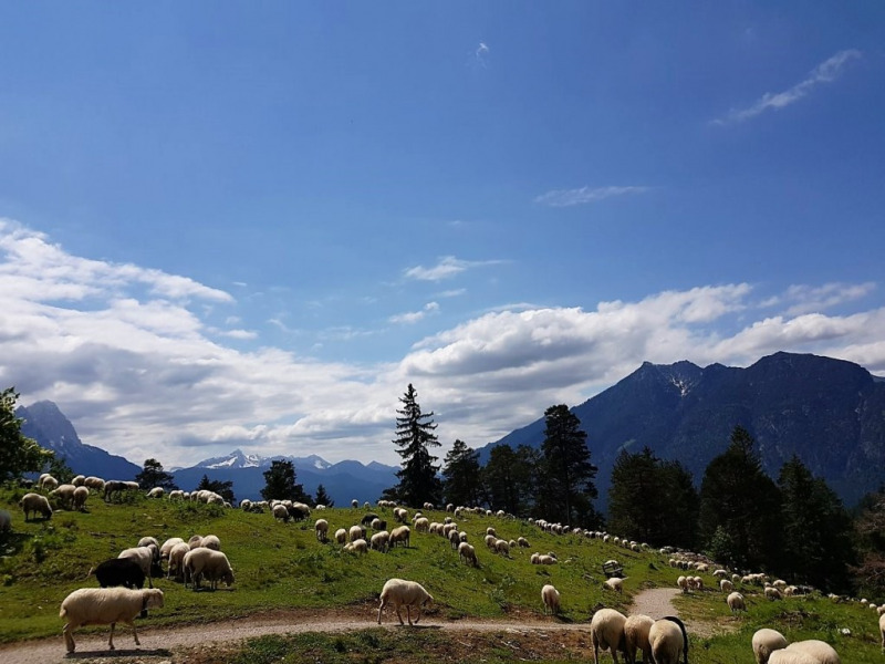 Partenkirchen – über die Fauk’nbruck zur Tannenhütte