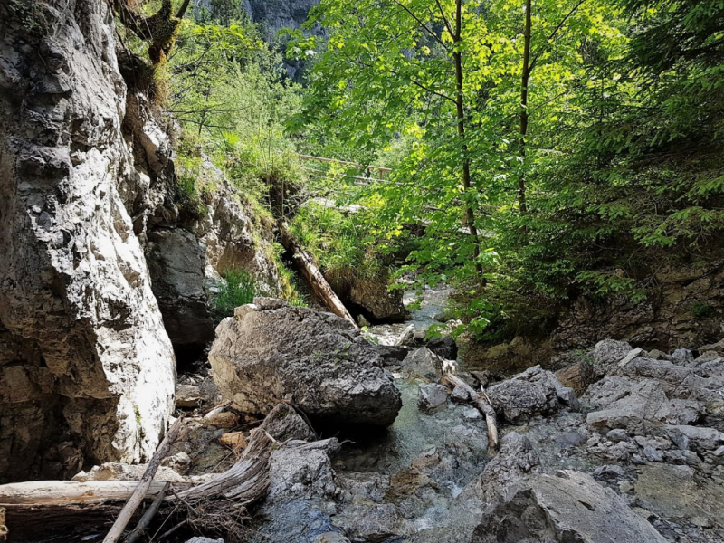 Partenkirchen – über die Fauk’nbruck zur Tannenhütte