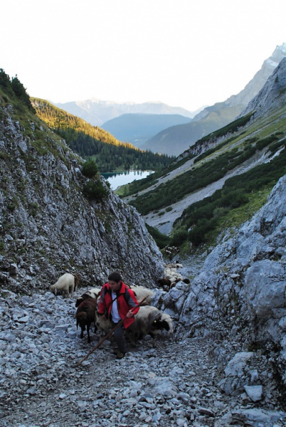 Schafschoad – vom Seebensee nach Untermieming