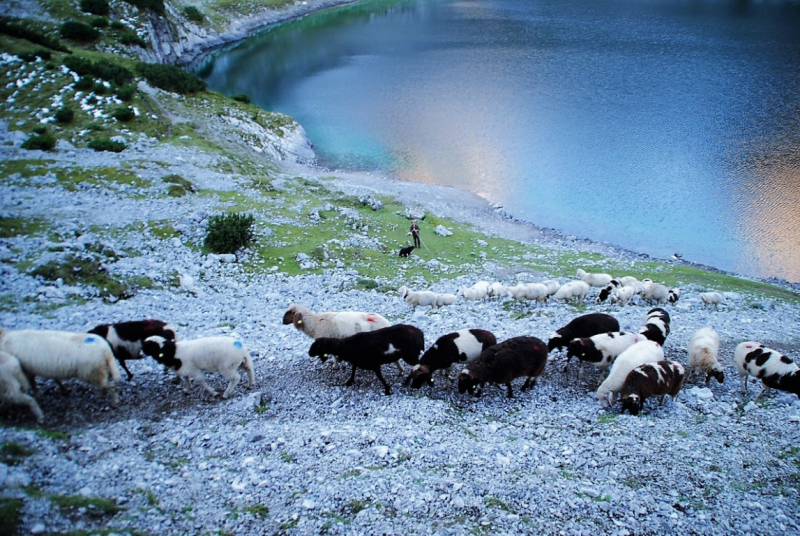 Schafschoad – vom Seebensee nach Untermieming