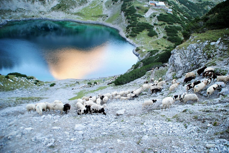 Schafschoad – vom Seebensee nach Untermieming