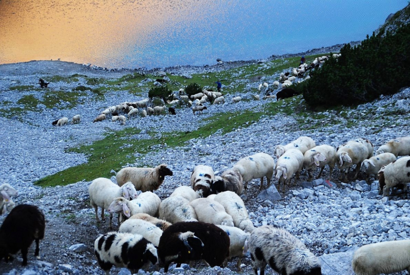 Schafschoad – vom Seebensee nach Untermieming