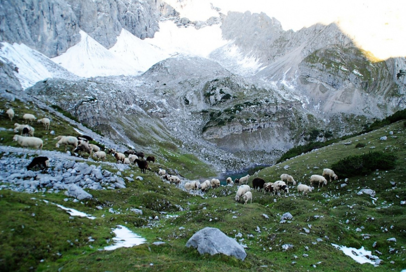 Schafschoad – vom Seebensee nach Untermieming
