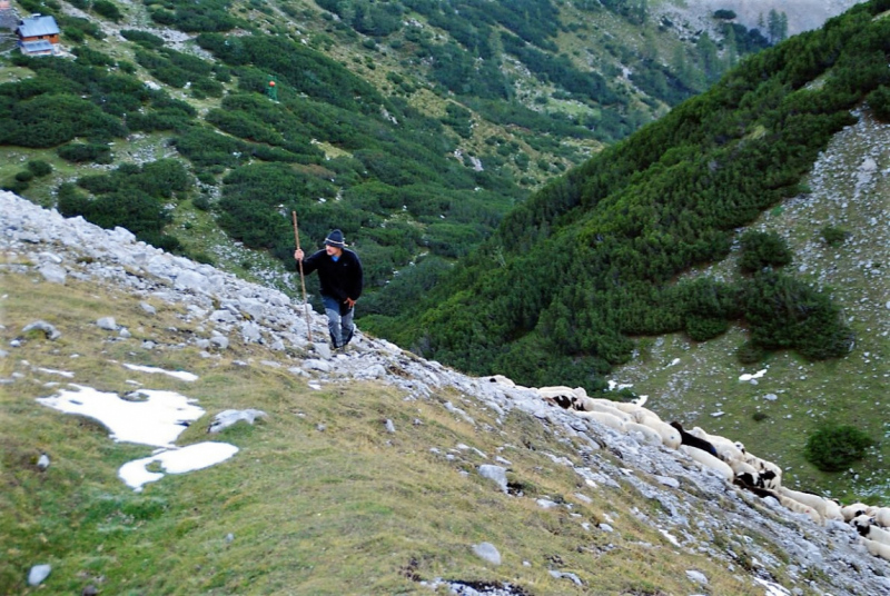 Schafschoad – vom Seebensee nach Untermieming