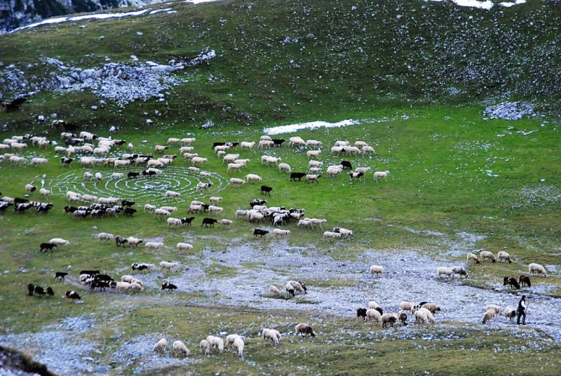 Schafschoad – vom Seebensee nach Untermieming