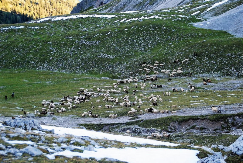Schafschoad – vom Seebensee nach Untermieming