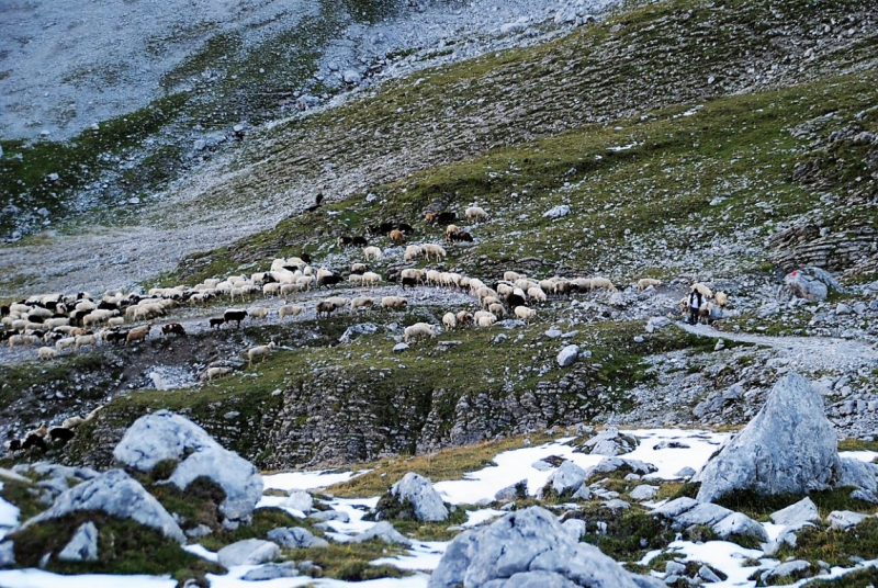 Schafschoad – vom Seebensee nach Untermieming