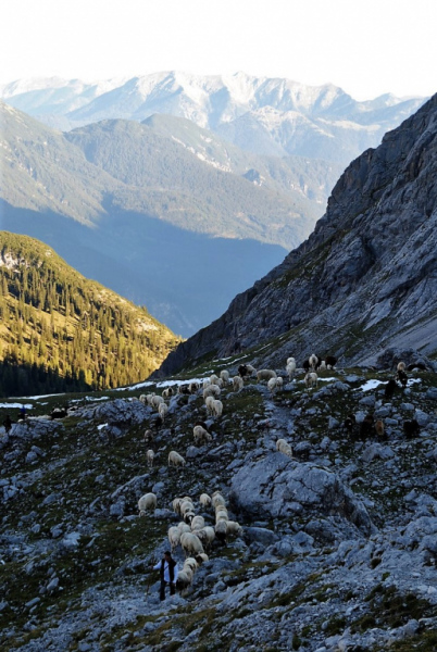 Schafschoad – vom Seebensee nach Untermieming