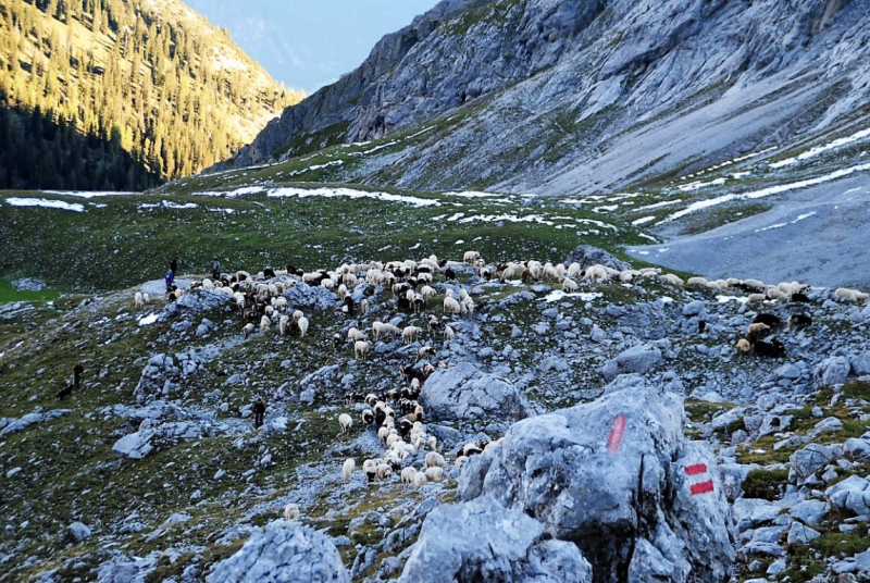 Schafschoad – vom Seebensee nach Untermieming