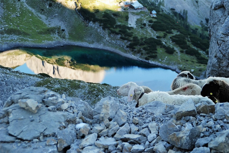 Schafschoad – vom Seebensee nach Untermieming