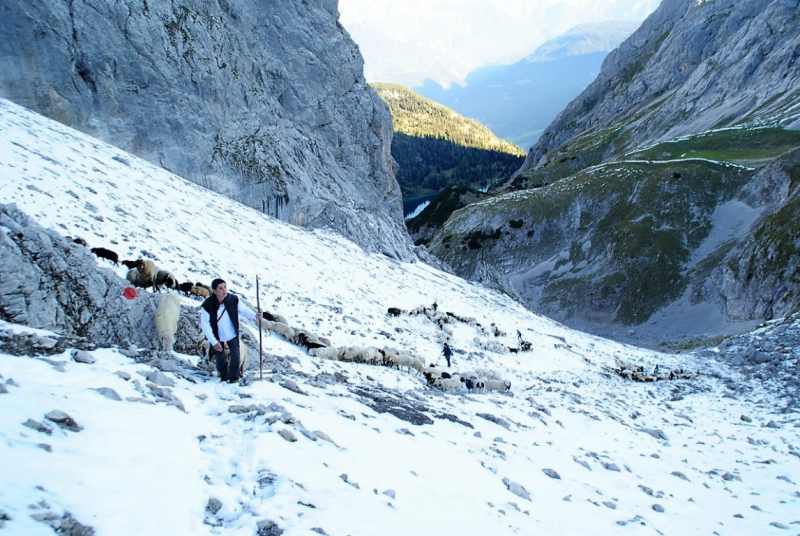 Schafschoad – vom Seebensee nach Untermieming