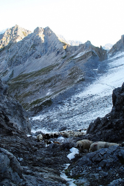 Schafschoad – vom Seebensee nach Untermieming