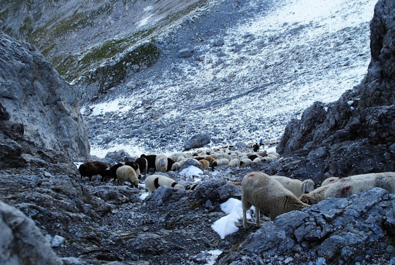 Schafschoad – vom Seebensee nach Untermieming