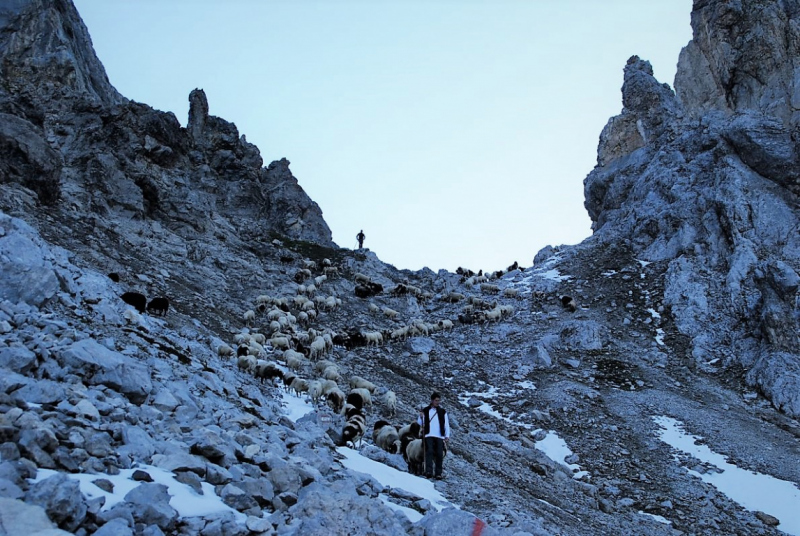 Schafschoad – vom Seebensee nach Untermieming