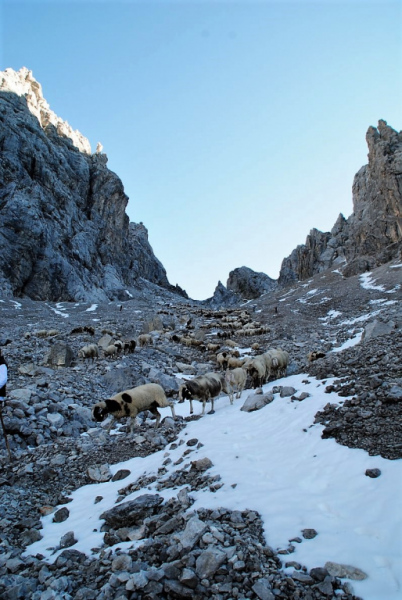 Schafschoad – vom Seebensee nach Untermieming