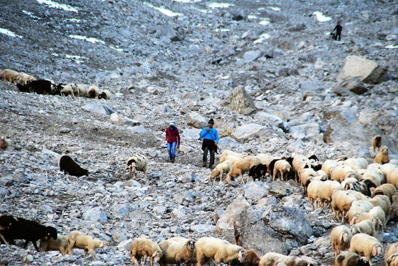 Schafschoad – vom Seebensee nach Untermieming