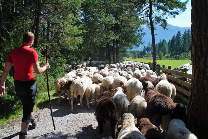 Schafschoad – vom Seebensee nach Untermieming