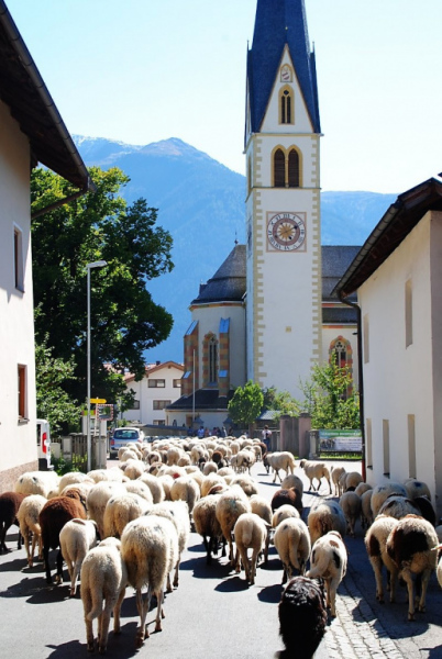 Schafschoad – vom Seebensee nach Untermieming