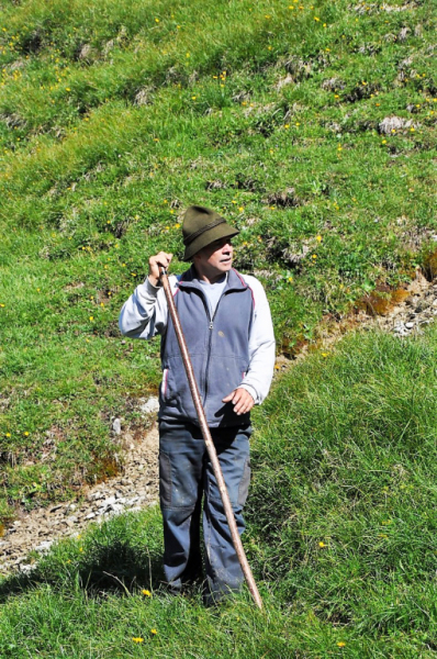 viehauftrieb_felderertal_juli2013_027