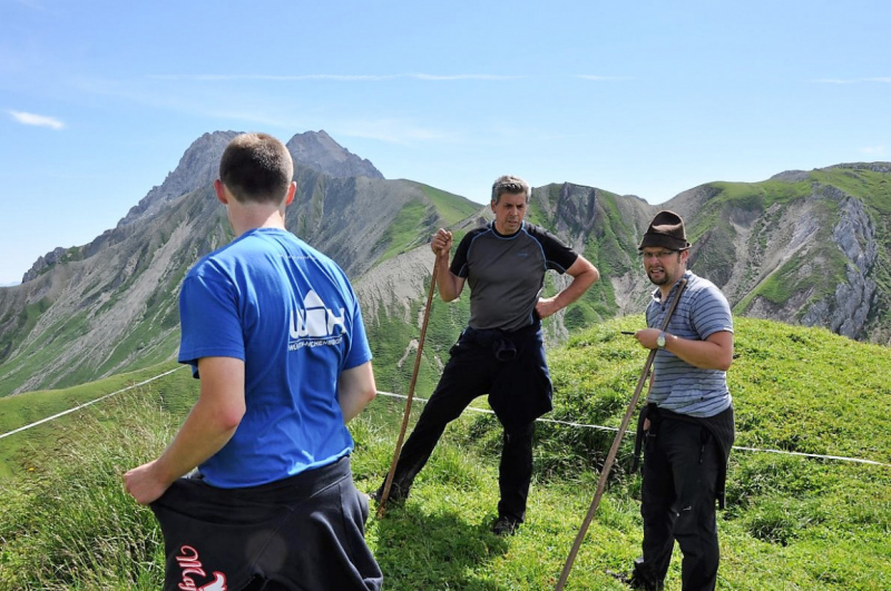 viehauftrieb_felderertal_juli2013_030