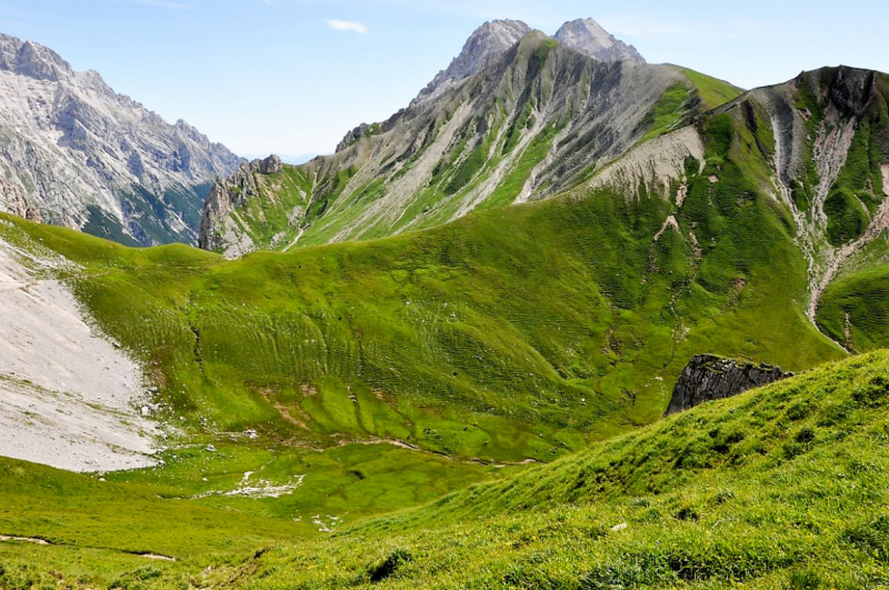 viehauftrieb_felderertal_juli2013_032