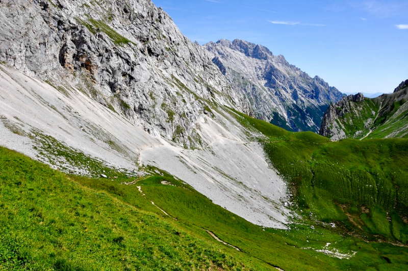viehauftrieb_felderertal_juli2013_033