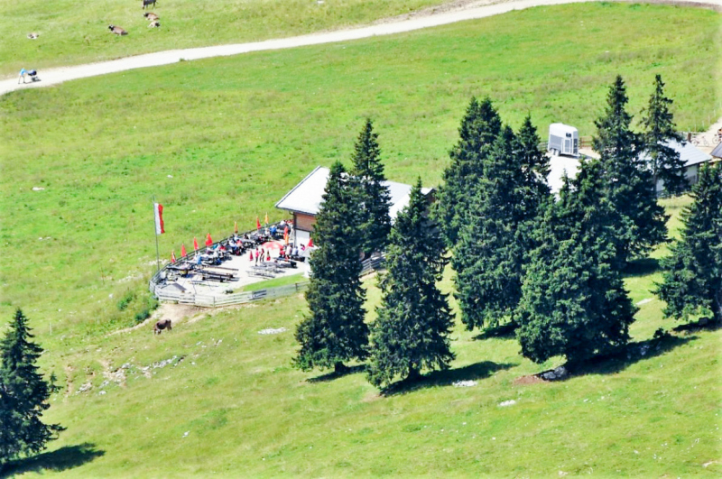 viehauftrieb_felderertal_juli2013_049