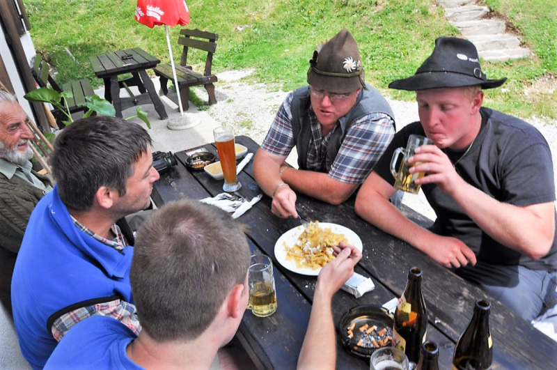 viehauftrieb_felderertal_juli2013_051