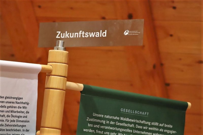 Wertewald – „Wie schaffen wir den Zukunftswald?“