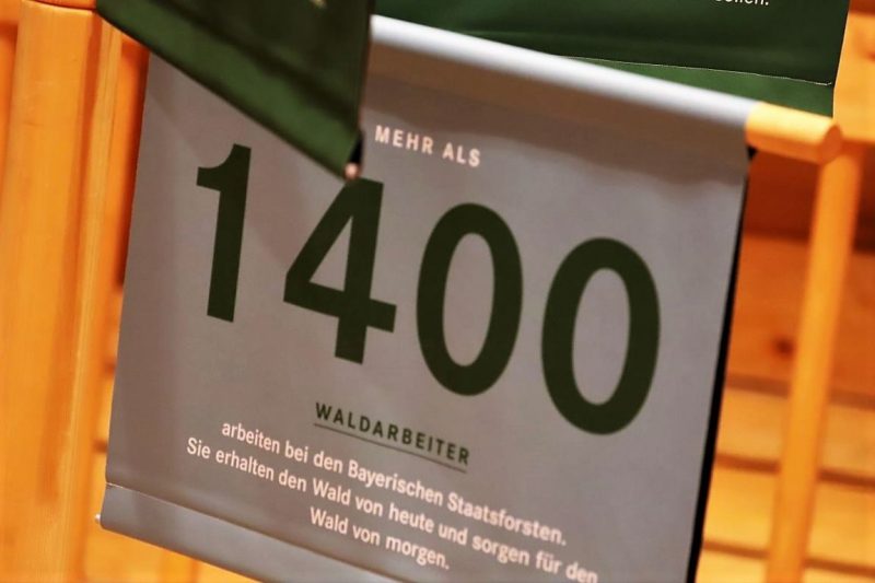 Wertewald – „Wie schaffen wir den Zukunftswald?“