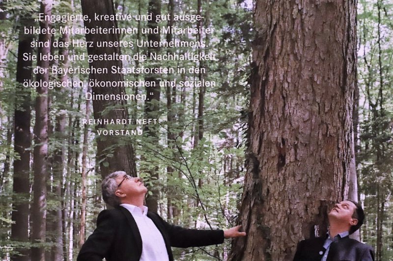 Wertewald – „Wie schaffen wir den Zukunftswald?“