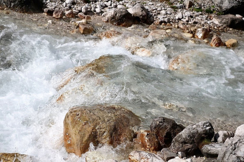 Wildbachprojekt Tirol – Wiederansiedlung der Urforelle