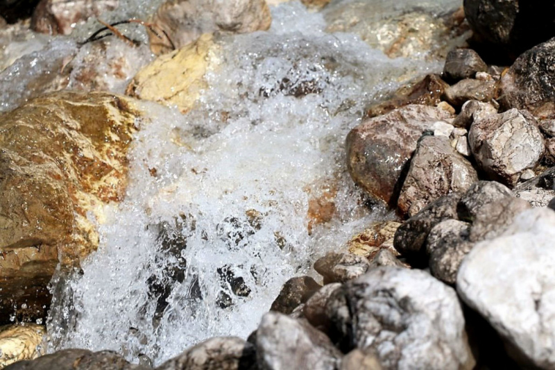 Wildbachprojekt Tirol – Wiederansiedlung der Urforelle