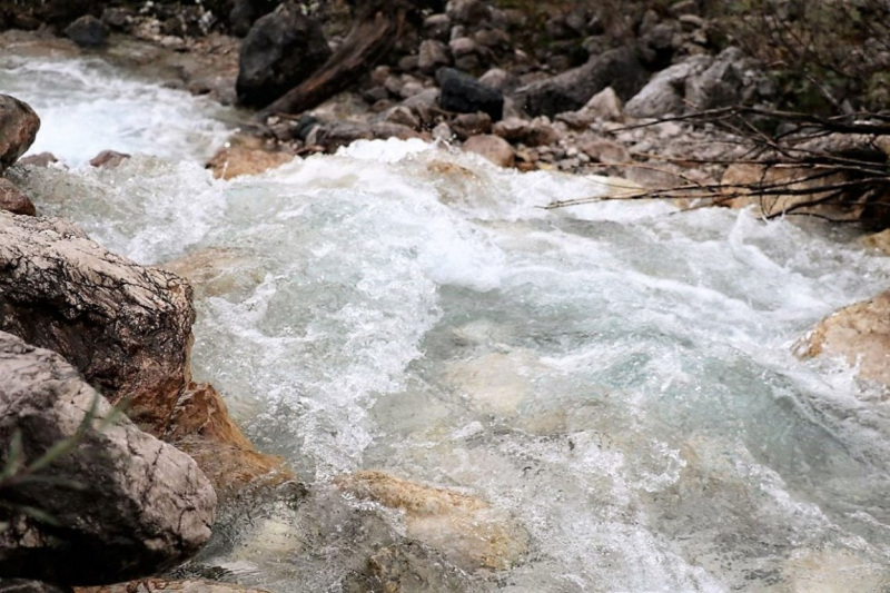 Wildbachprojekt Tirol – Wiederansiedlung der Urforelle