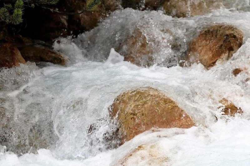 Wildbachprojekt Tirol – Wiederansiedlung der Urforelle