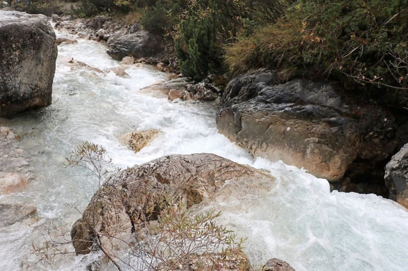 Wildbachprojekt Tirol – Wiederansiedlung der Urforelle