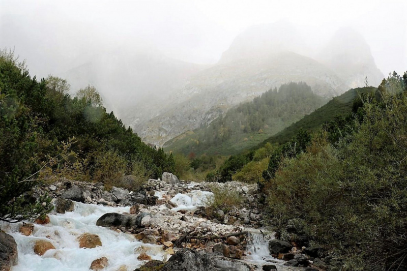 Wildbachprojekt Tirol – Wiederansiedlung der Urforelle