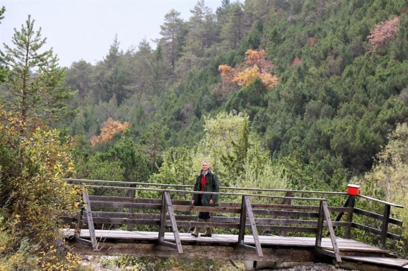 Wildbachprojekt Tirol – Wiederansiedlung der Urforelle