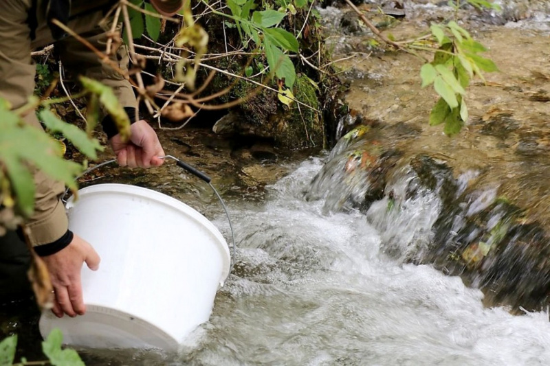 Wildbachprojekt Tirol – Wiederansiedlung der Urforelle