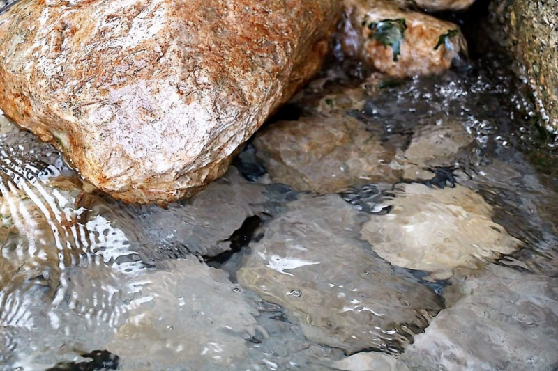 Wildbachprojekt Tirol – Wiederansiedlung der Urforelle