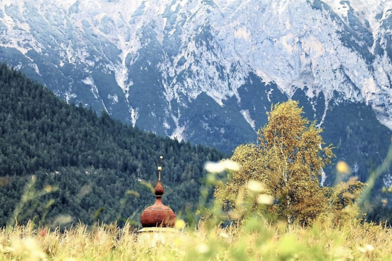 Wildbachprojekt Tirol – Wiederansiedlung der Urforelle