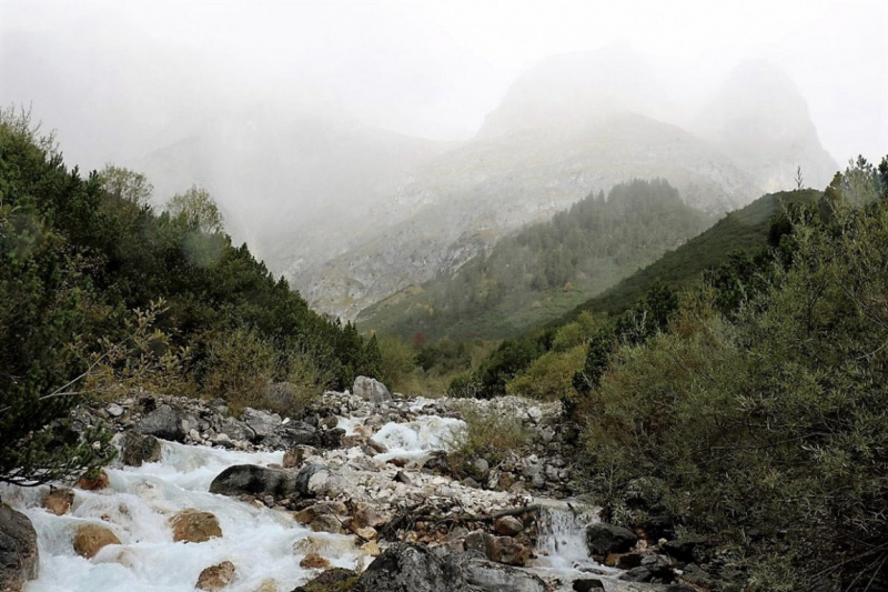 Wildbachprojekt Tirol – Wiederansiedlung der Urforelle 