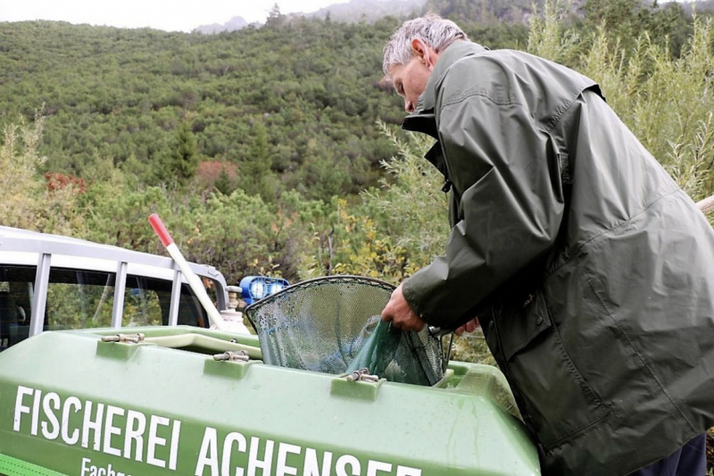 Wildbachprojekt Tirol – Wiederansiedlung der Urforelle 